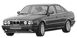 BMW E34 P1E87 Fault Code